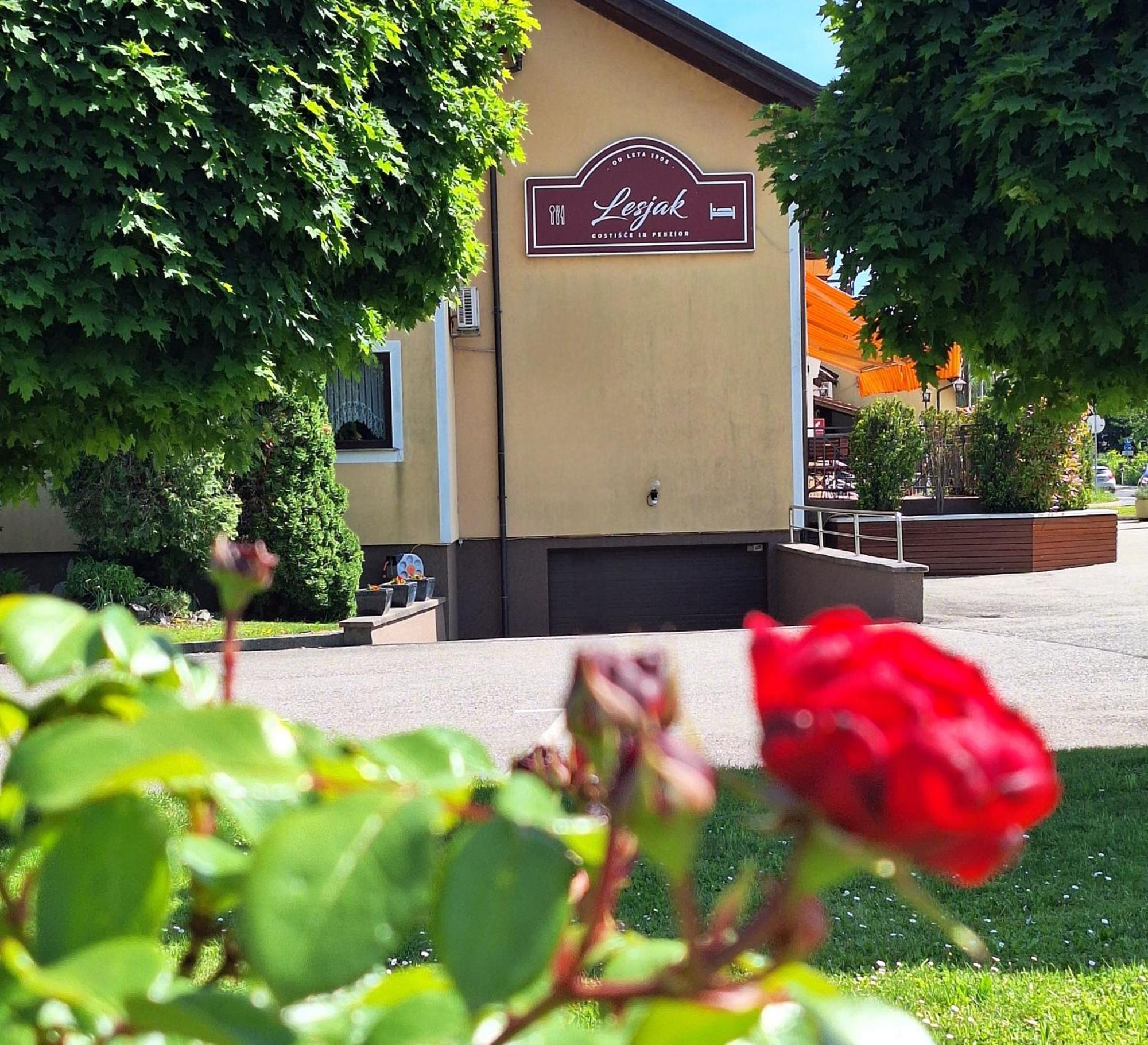 Penzion Gostisce Lesjak Orehova vas Extérieur photo